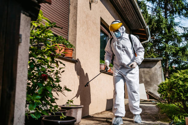 Best Pest Removal Services  in Hackensack, NJ