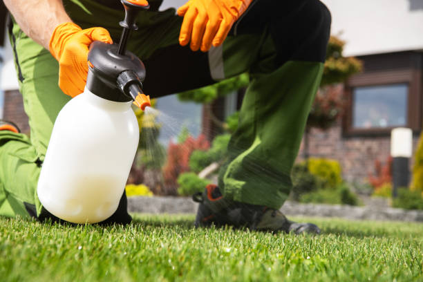 Best Local Pest Control Services  in Hackensack, NJ