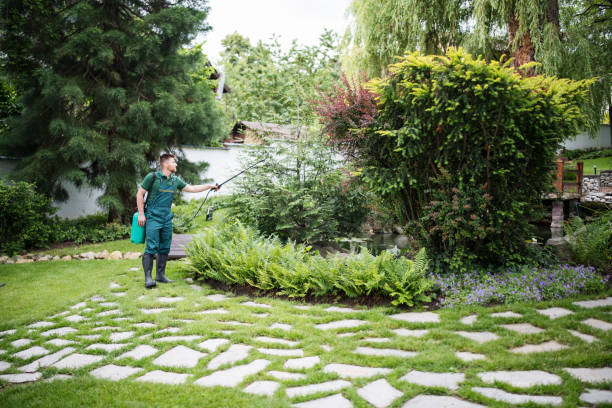 Best Ant Control Services  in Hackensack, NJ